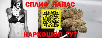 спиды Тара