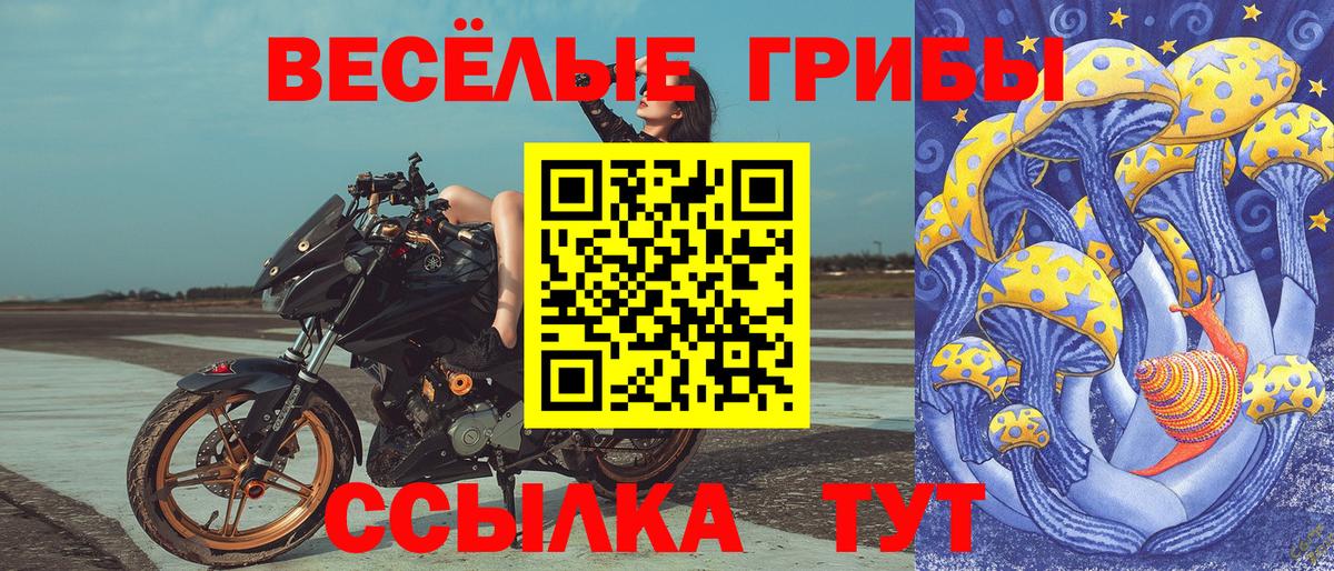 Псилоцибиновые грибы Magic Shrooms  Вход с VPN  Псилоцибиновые грибы Magic Shrooms  что такое наркотик  Нарткала 